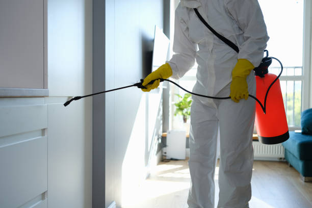 Best Affordable Mold Removal  in Trenton, FL