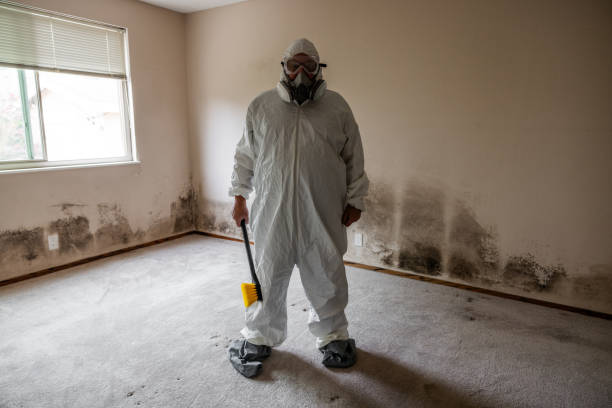 Best Local Mold Removal Service  in Trenton, FL